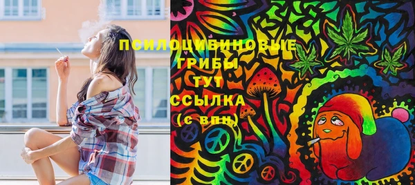 mix Рославль