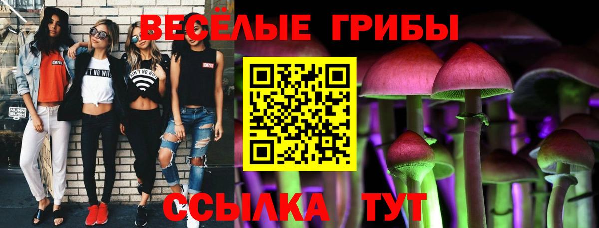 Ахтубинск  где найти наркотики  Вход с VPN  Галлюциногенные грибы MAGIC MUSHROOMS  Галлюциногенные грибы ЛСД 